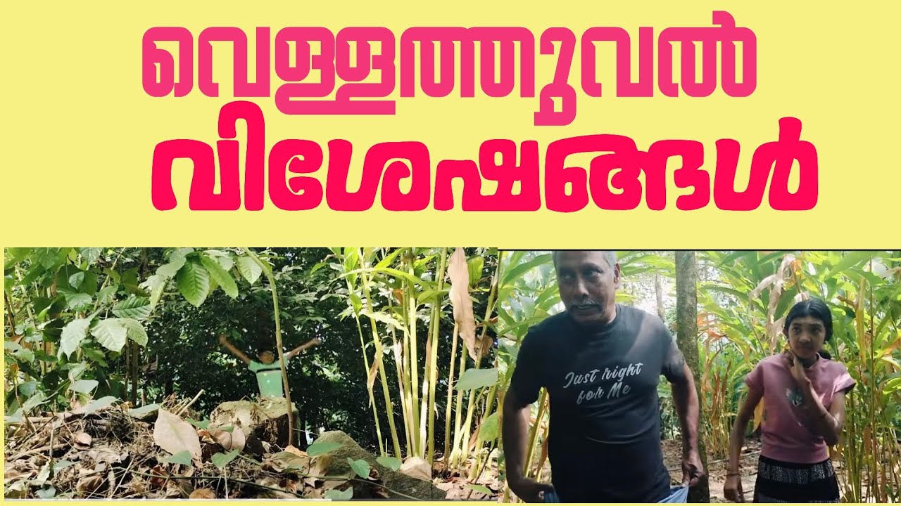 യദു കുട്ടൻ ഷൂട്ട്‌ ചെയ്ത വീഡിയോ 🥰