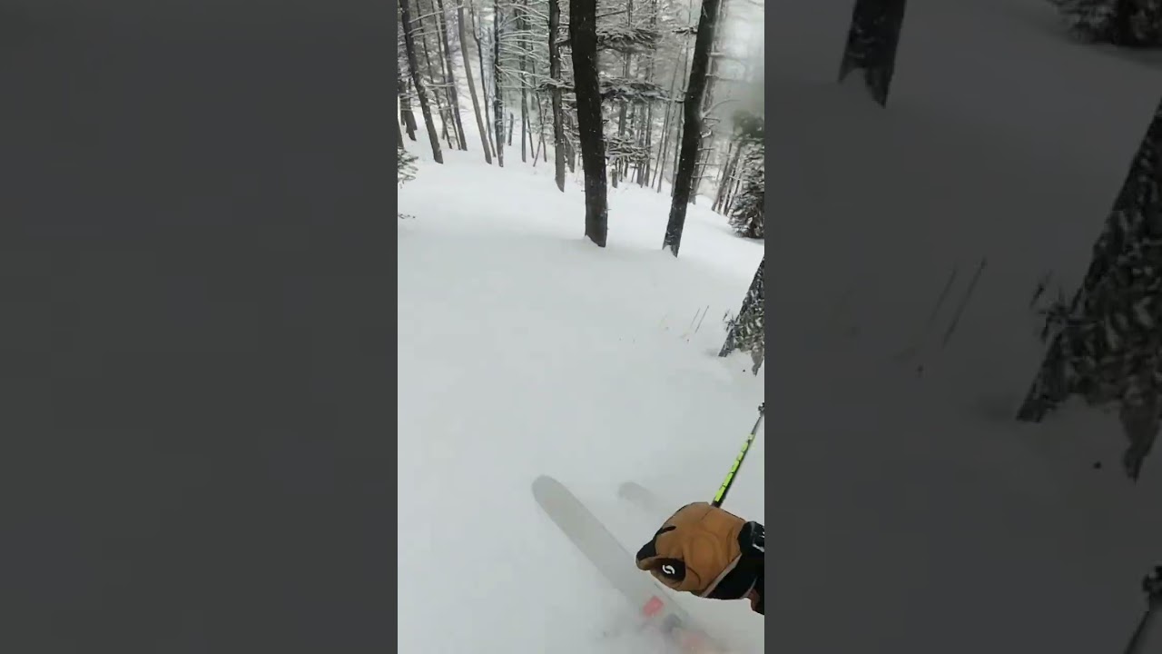 Montana Snowbowl tree skiing #montana #skiing #bigskycountry