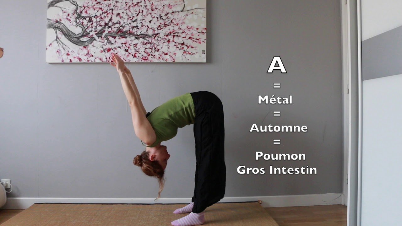 Zen Shiatsu : enchaînement exercices visualisés de base de Masunaga  (Makkô Hô)