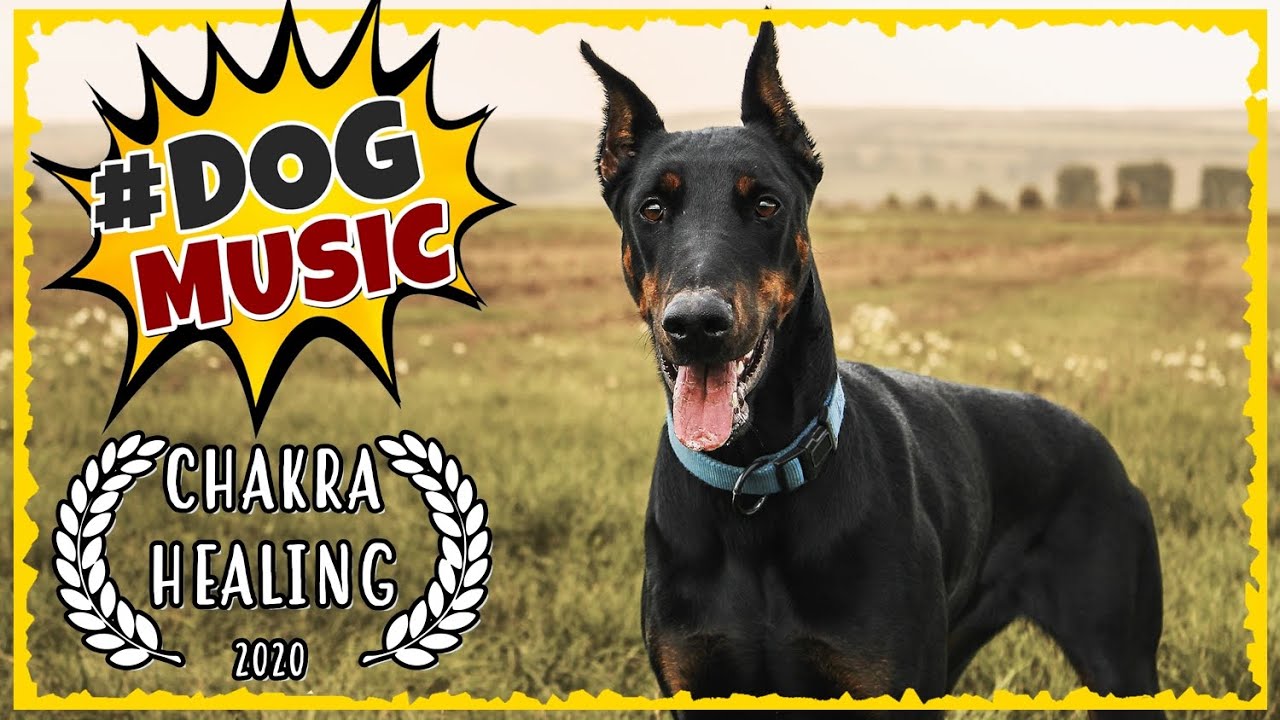 Music For Dogs ~ DOBERMANN Chakra Healing Music ~ Separation Anxiety Music