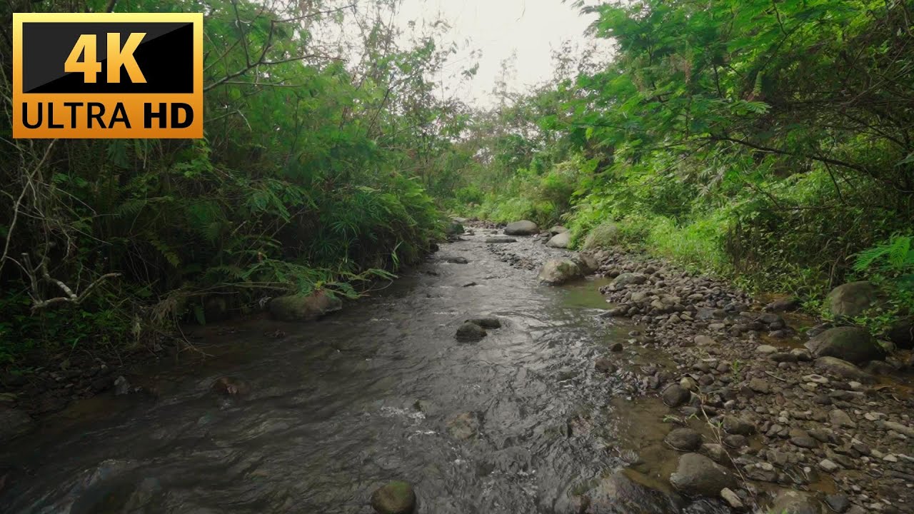 Calm your mind with soothing river flow and white noise for meditation and sleep
