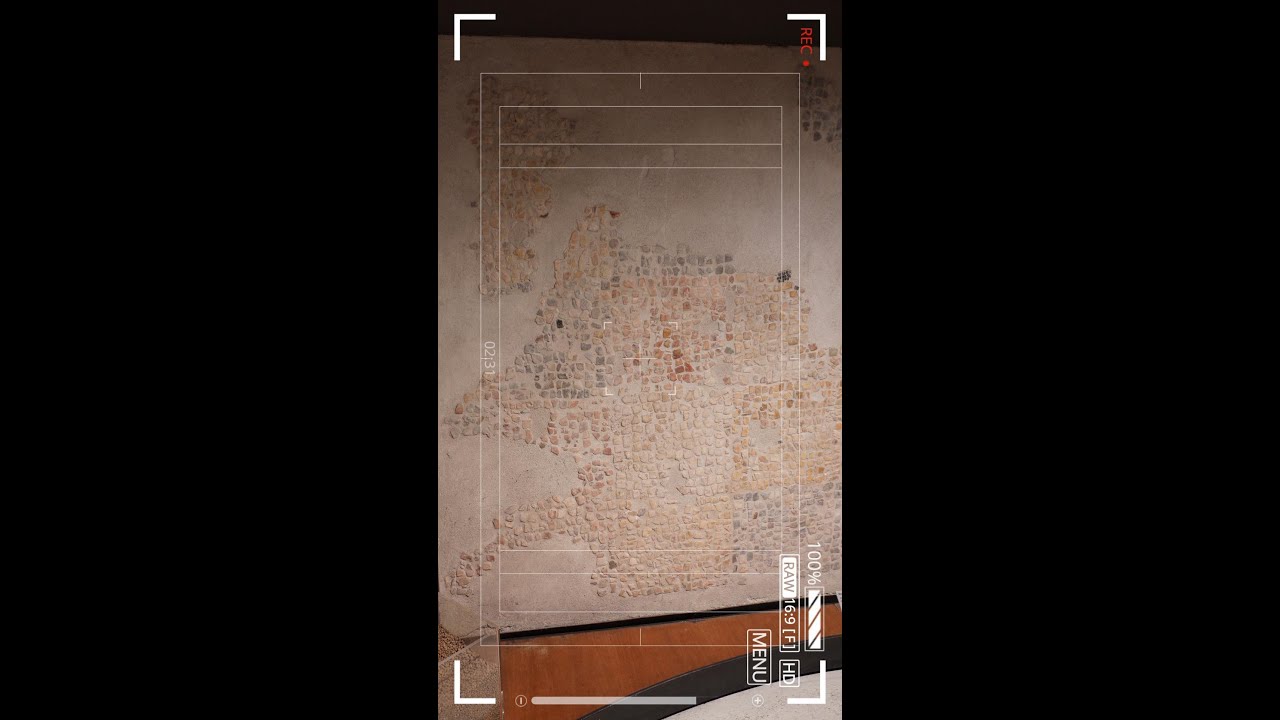 I colori del Vicus Caprarius #1: il mosaico pavimentale