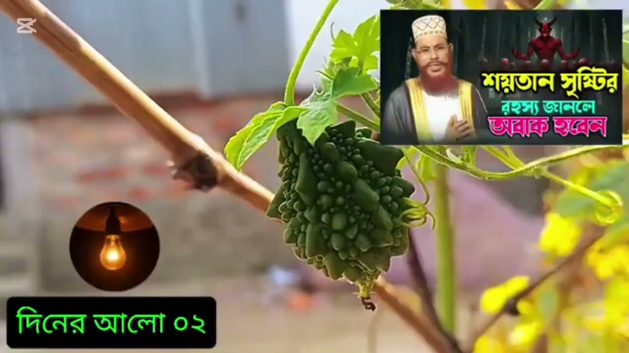 শয়তান সৃষ্টির ভয়ংকর রহস্য জানলে অবাক হবেন _ ইবলিসের আসল ই(3 #hijab #happy #love #music 