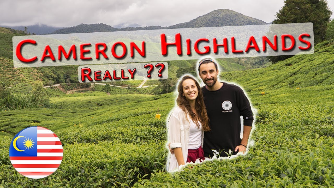 I Can't Believe this is in Malaysia - Cameron Highlands