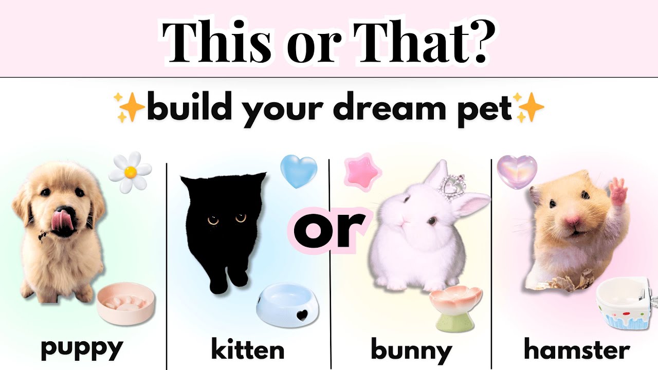 Это или то? Создайте питомца своей мечты 🐶💗✨
