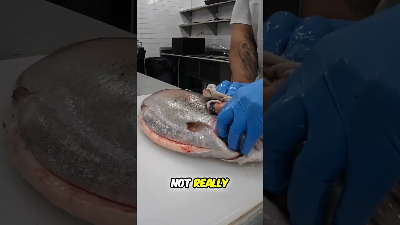 Pro Fish Fillet Tips & Tricks!