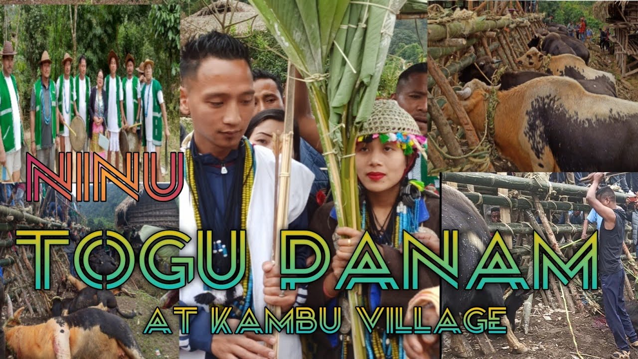Arunachali - wedding || Arunachal Pradesh Galo TRIBAL marriage||At kambu village||@TomiNinu