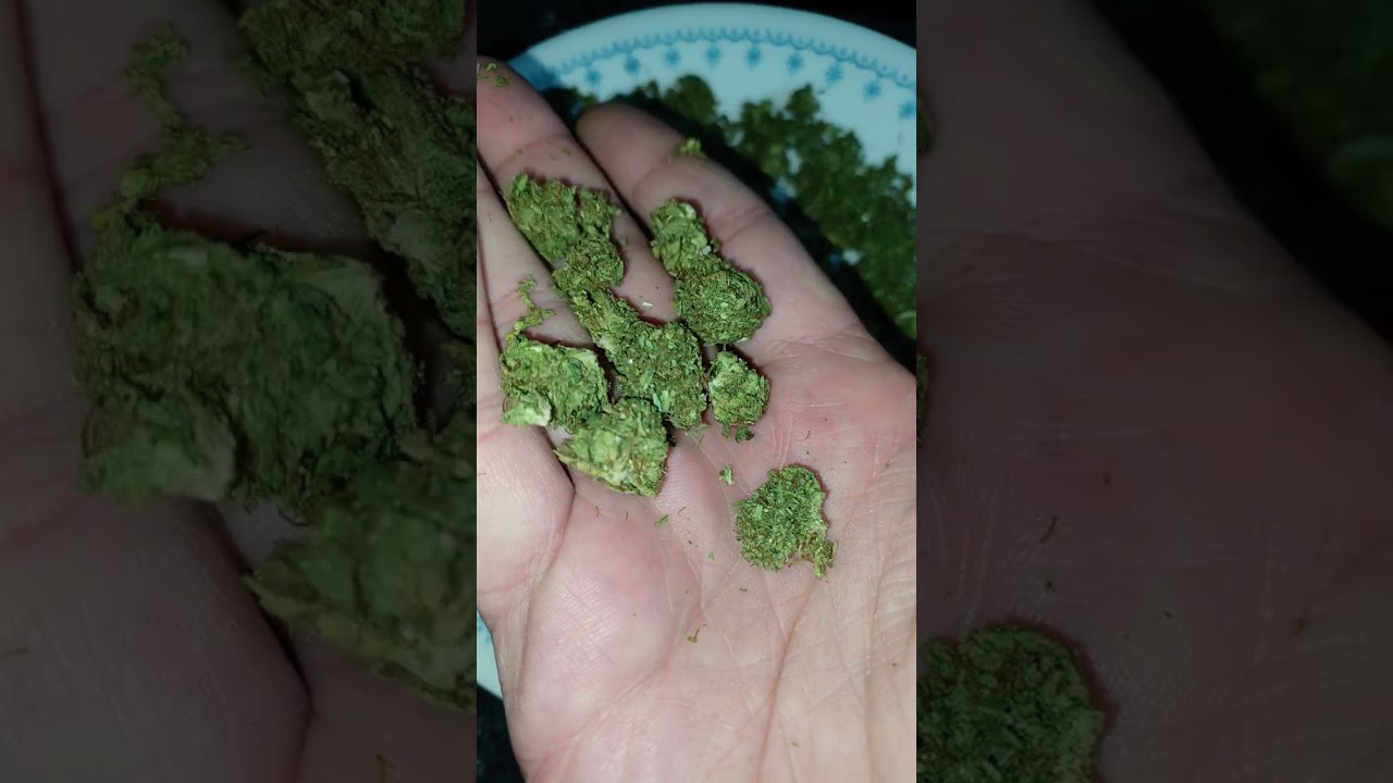 Velox, 4 Oz. shake/trim, Tweedle Farms, CBD hemp (is it good?)
