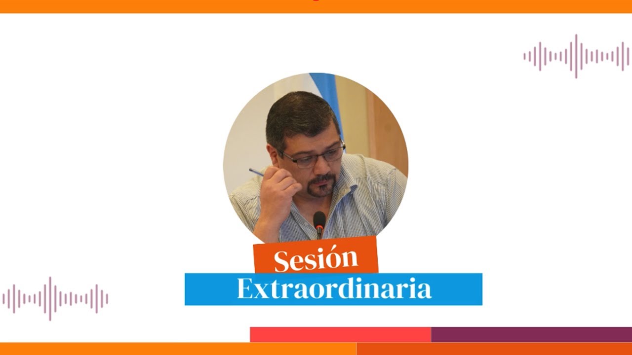 Sesión Extraordinaria - 13/02/2026