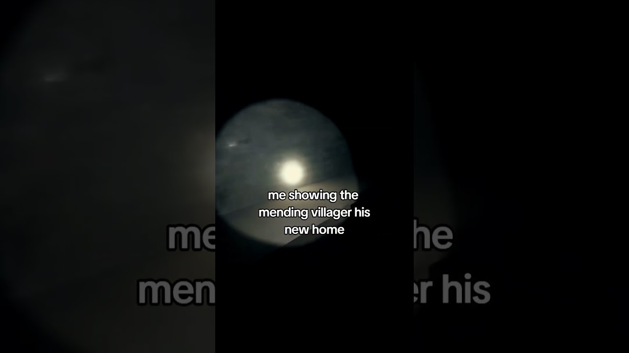 Minecraft Memes & Funny Moments, Villager Trading Hal "Me Showing the Mending Villager his new home"
