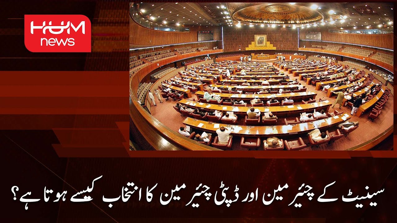 How are the Chairman and Deputy Chairman of the Senate elected?