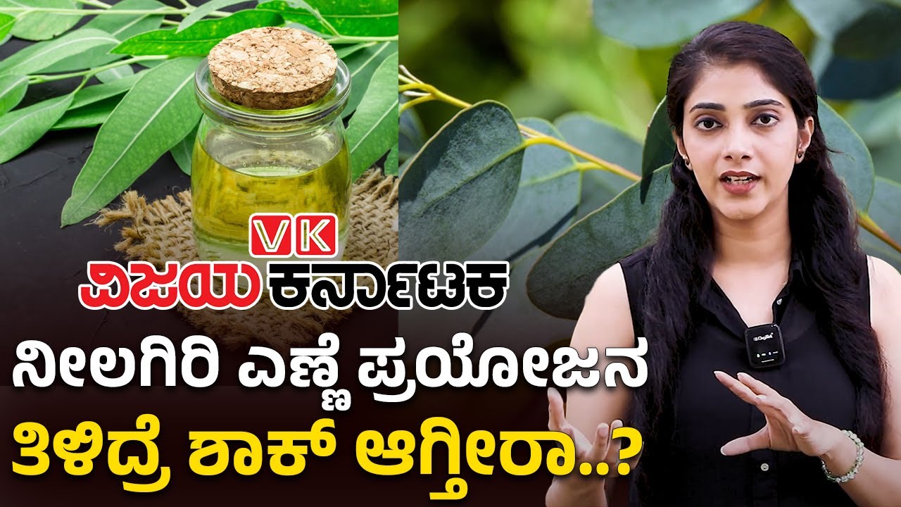 Nilgiri Oil : ನೀಲಗಿರಿ ಎಣ್ಣೆಯ ಅದ್ಭುತ ಪ್ರಯೋಜನಗಳಿವು! |Eucalyptus Oil |  Vijay Karnataka