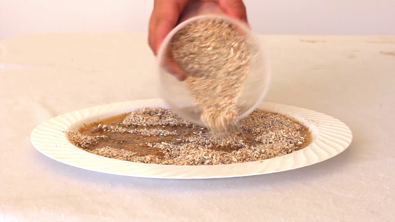 Kengro Biosorb Oil Absorbent- Water Resistant Absorbent for Land, Water, and Hard Surfaces