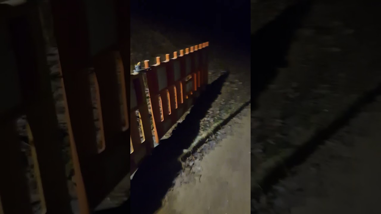 Die Perfekte Zeit für einen Spaziergang 🤠