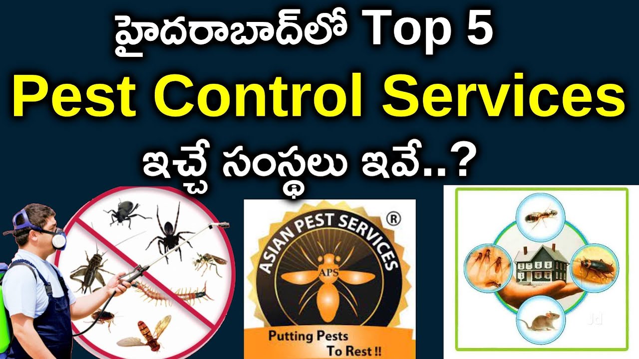 హైదరాబాద్&zwnj;లోని బెస్ట్ Pest Control Services సంస్థలు ఇవే ​| Top 5 Pest Control Services in Hyderabad