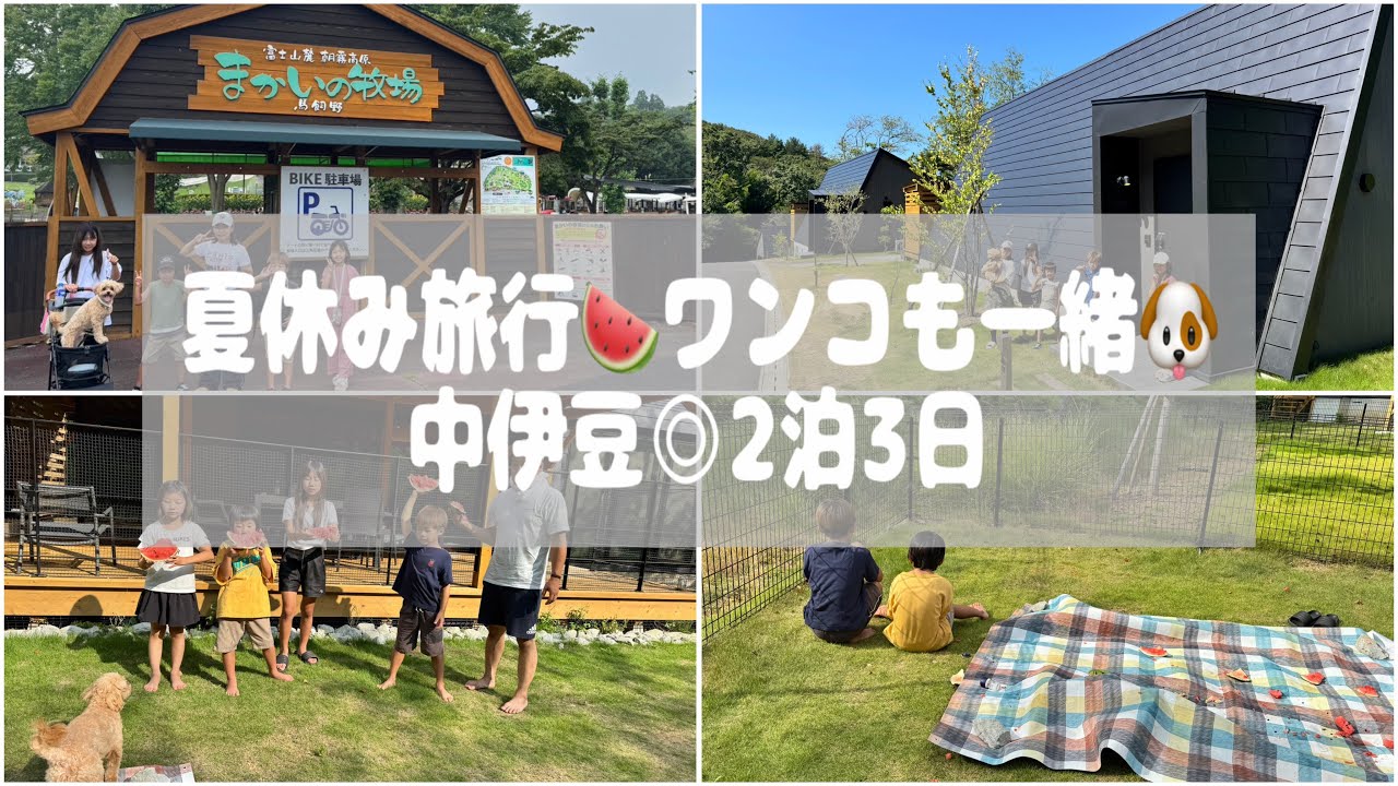 夏休み旅行◎中伊豆◎川遊び◎スイカ割り