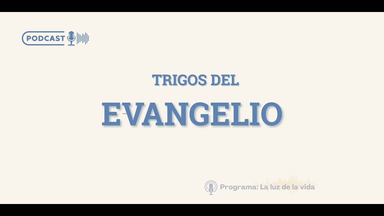 Trigos del Evangelio | del libro: 