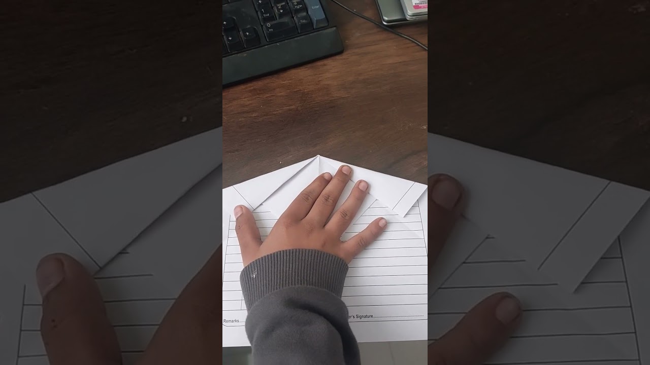paper plane 