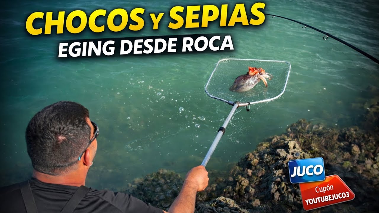 Cómo pescar CHOCOS y SEPIAS a EGING desde costa | Técnica, montaje y acción real