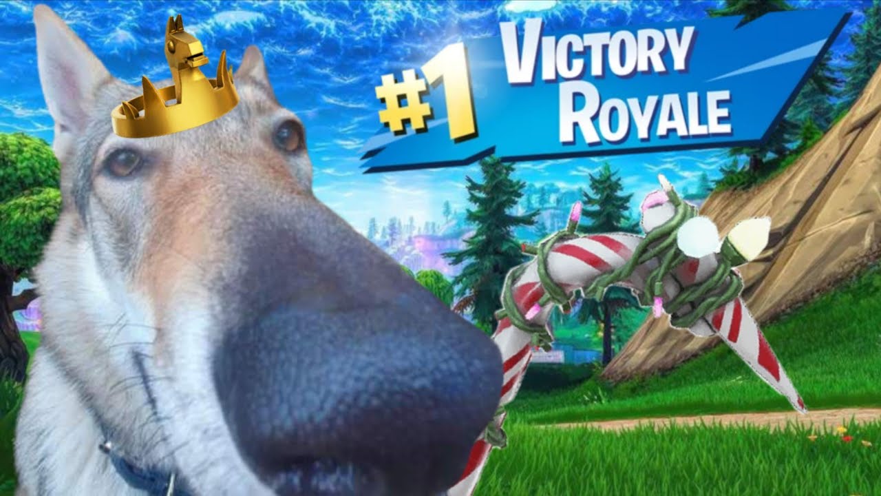 LA PRIMERAA WIN DEL CANAL !!!!!!!
