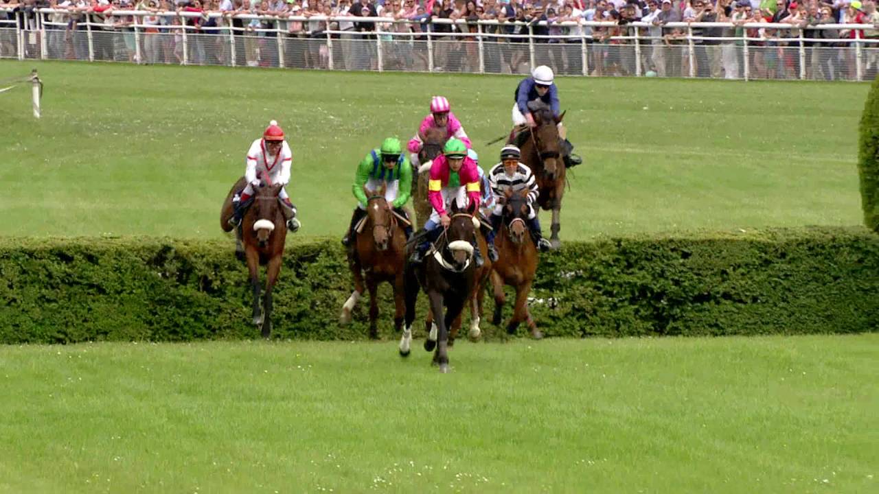 Pferderennen Aarau 1. Renntag 2016, 6. Rennen
