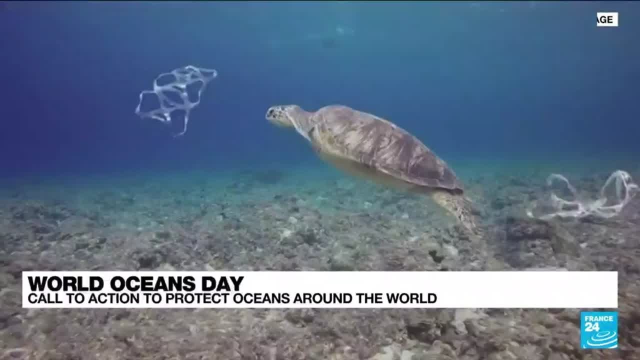 World Oceans Day: A call to action to protect oceans around the world