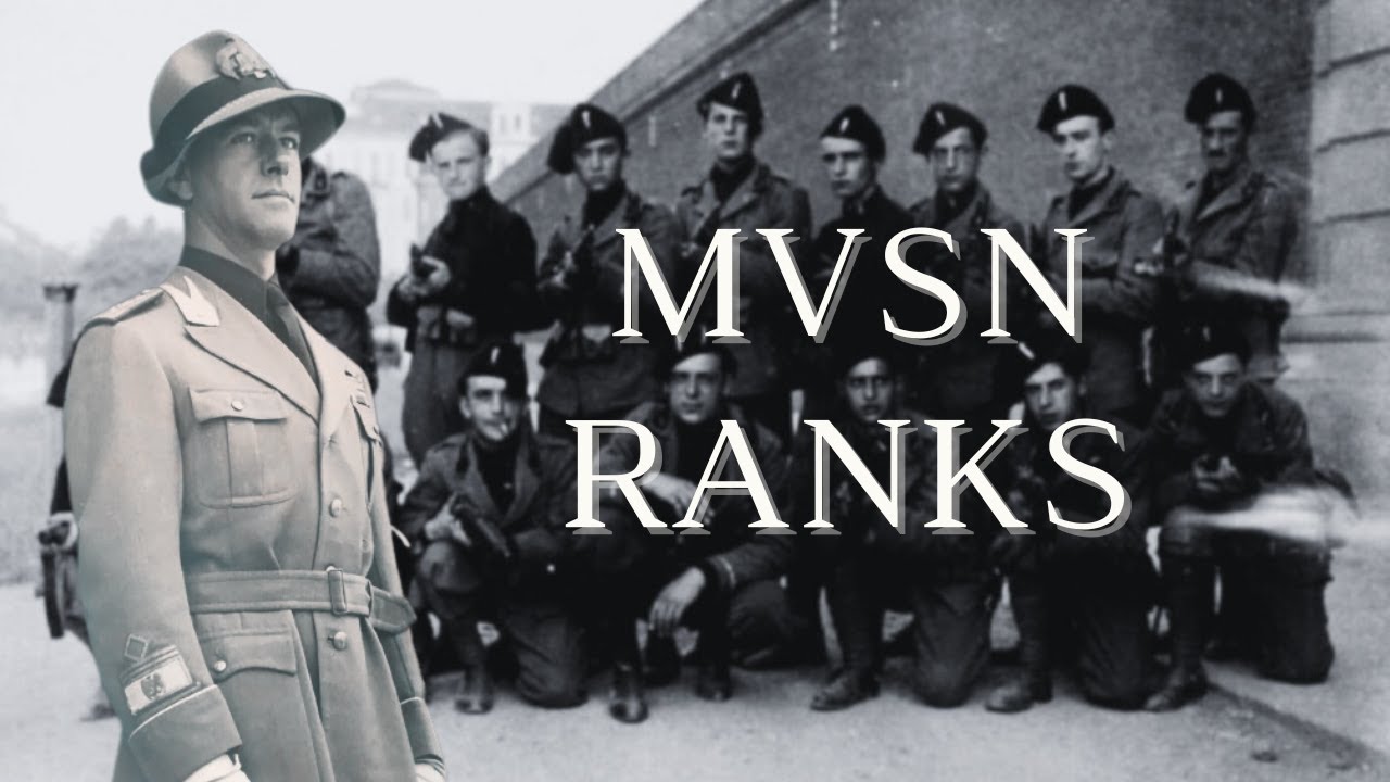 Understanding the Ranks of the MVSN: A Comprehensive Guide