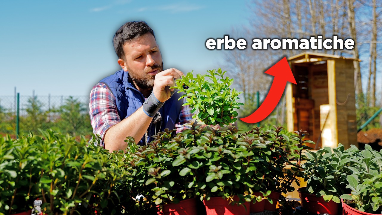 TUTTE le ERBE AROMATICHE che puoi coltivare ad APRILE in giardino o sul balcone