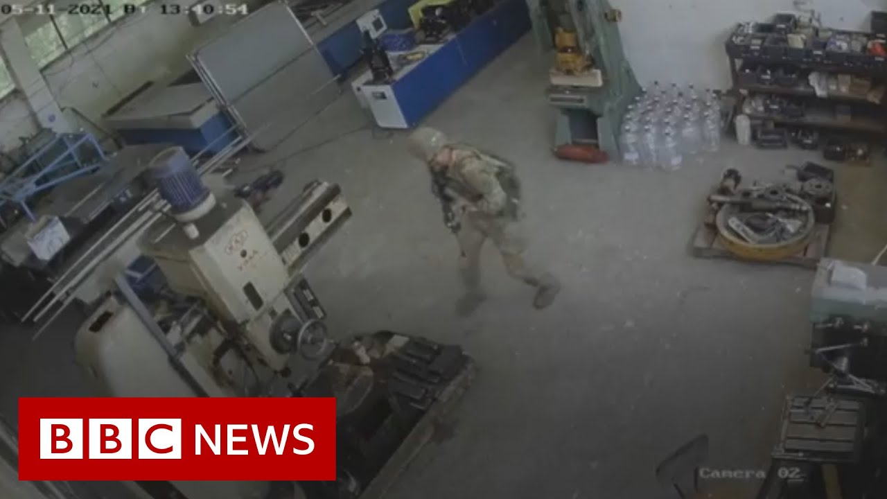 US troops accidentally raid Bulgarian sunflower oil factory - BBC News
