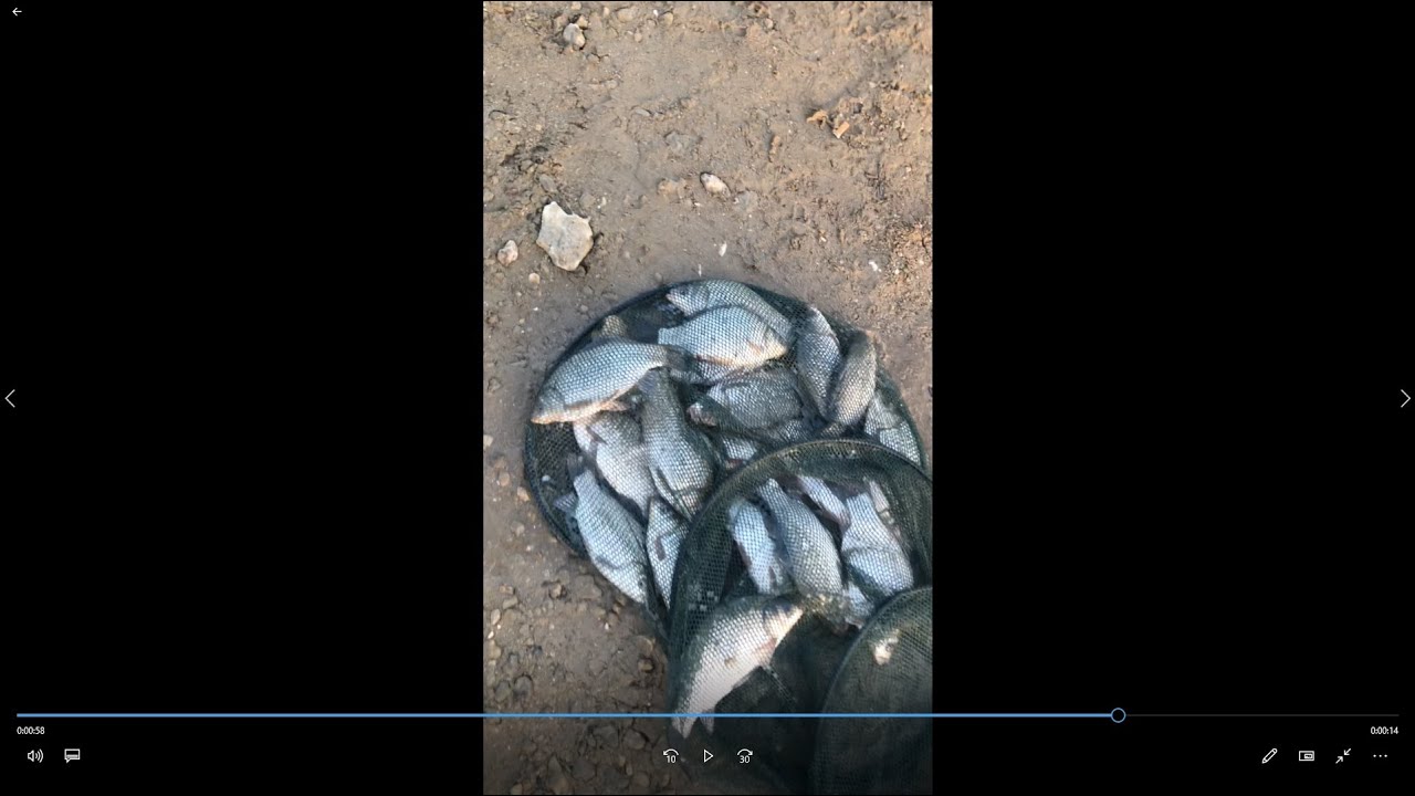 яз. Ястребино - Риболов на Каракуди Fishing on dam Qstrebino