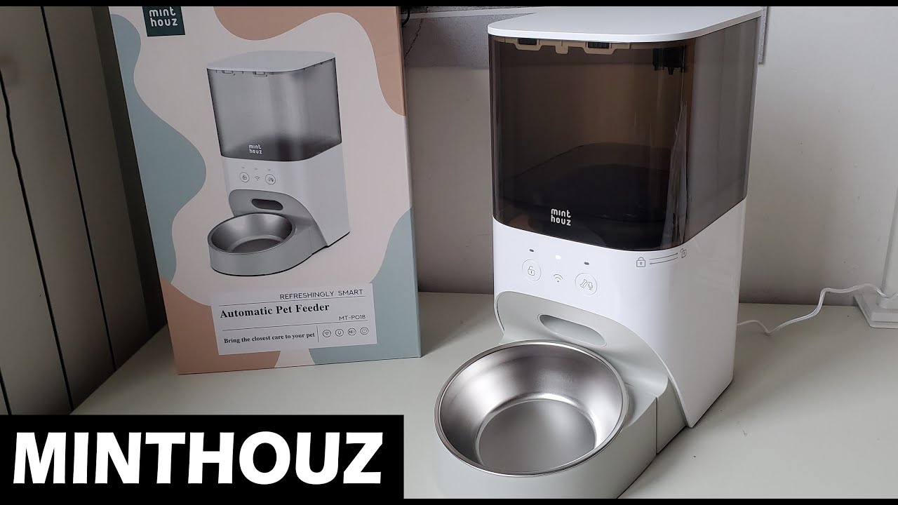 RECENSIONE: Distributore automatico per il cibo per cani e gatti della Minthouz