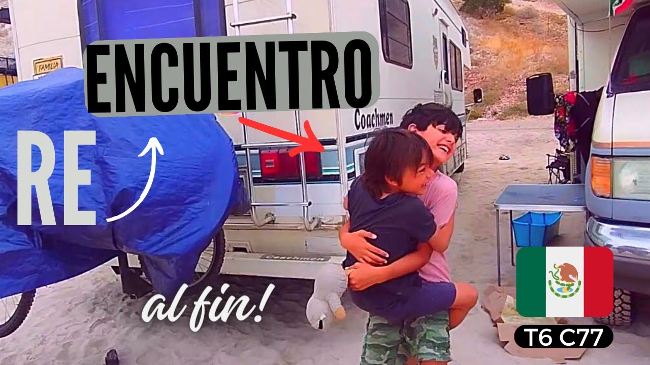 😍REencuentro con @LosMundo ! y nadamos con el #tiburón Ballena Experiencia Única😎 / Odisea Alaska