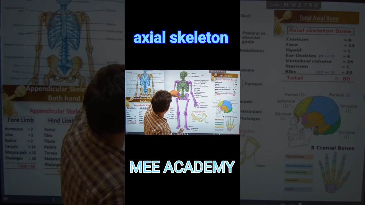 Axial skeleton mee academy | best coaching of bokaro for IIT and neet #axial #axialskeleton
