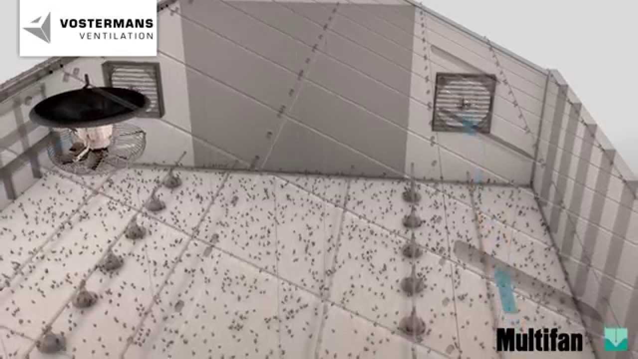 Poultry house ventilation with the Multifan V FloFan