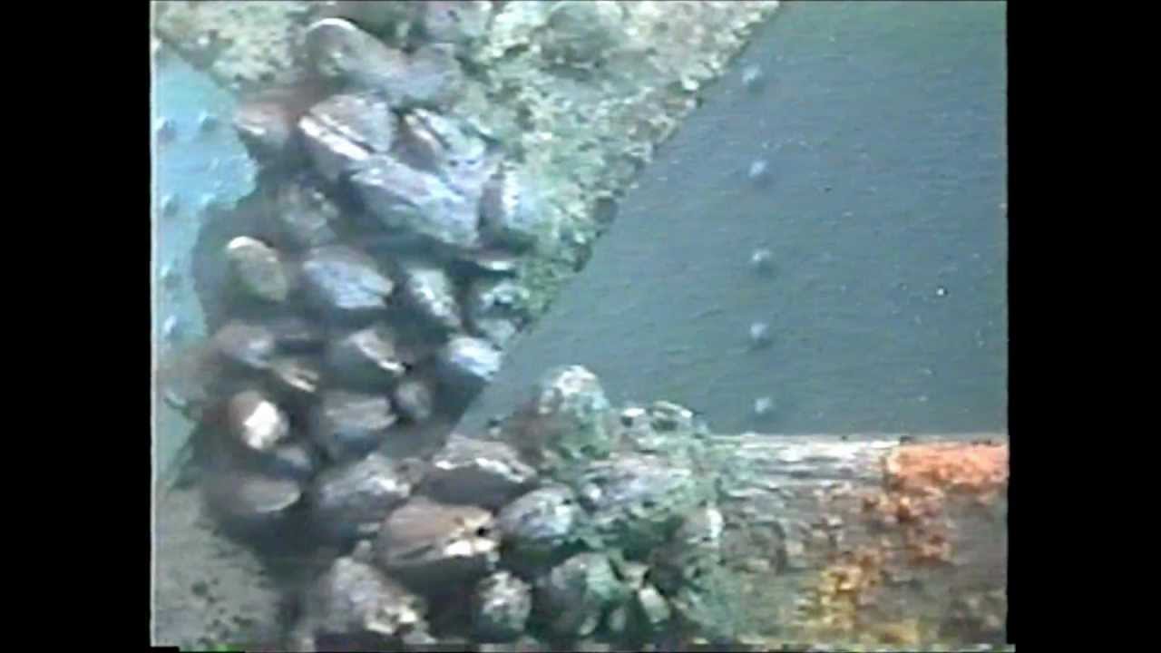 20,000 Leagues Under The Sea Starboard Ride-through 1994 high resolution