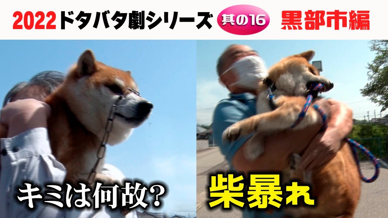 2022狂犬病予防注射会場のドタバタ劇・其の16 黒部市編