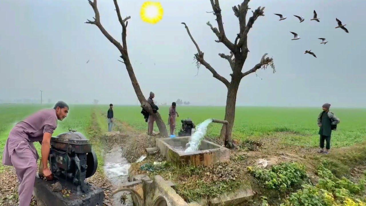 Early Morning Routine in Villager Punjab Pakistan 🇵🇰 Most Beautiful Village Life in winter 