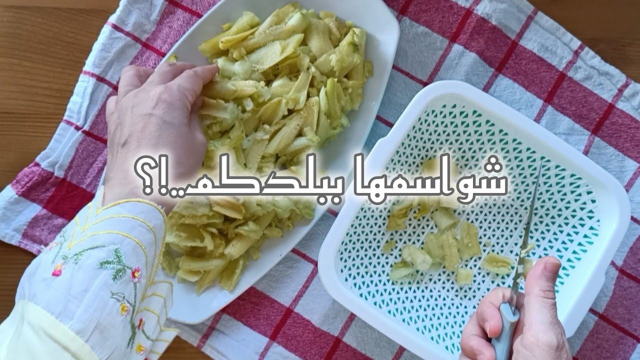 لب الكوسا أكلة ولا أطيب👌 وأخيراً البندورة الموسمية