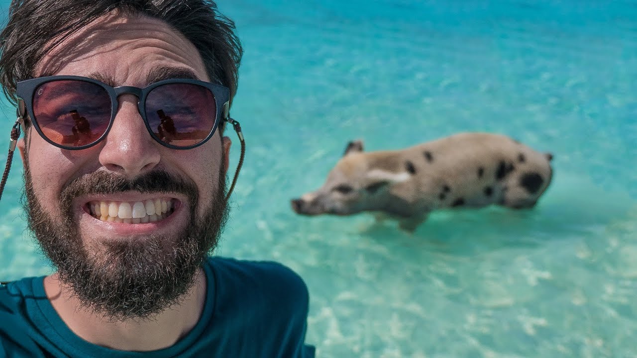 La spiaggia dei maiali alle BAHAMAS - Exuma | VLOGSPERIENCE