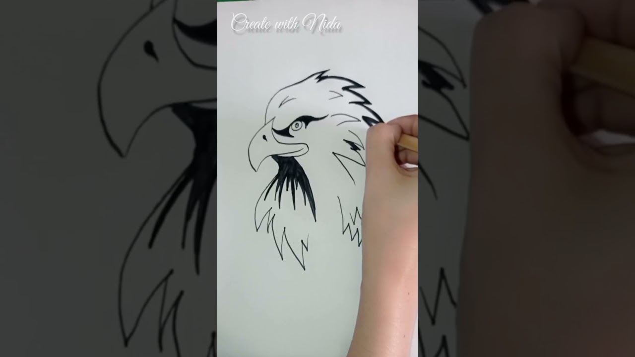 Eagle Drawing || How to draw a bald eagle || 9 November Allama Iqbal Day Drawing
