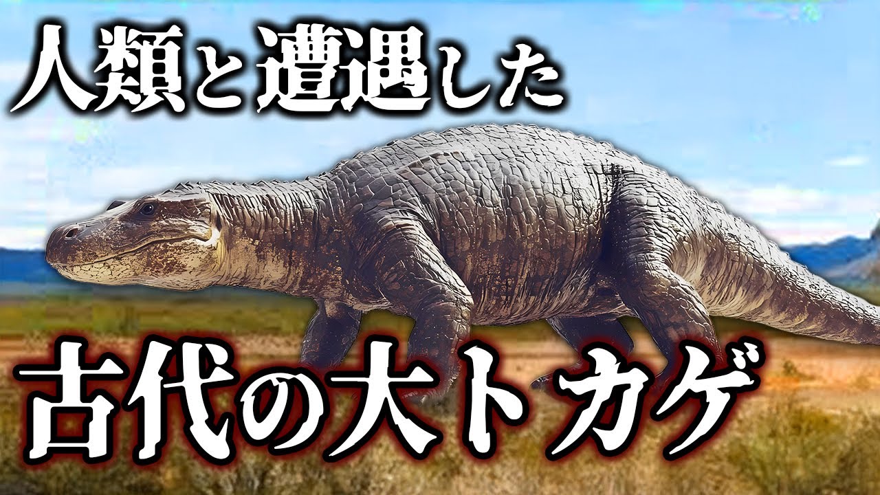 【ゆっくり解説】デカすぎる！5m超えの大トカゲ　メガラニアとは何者か？