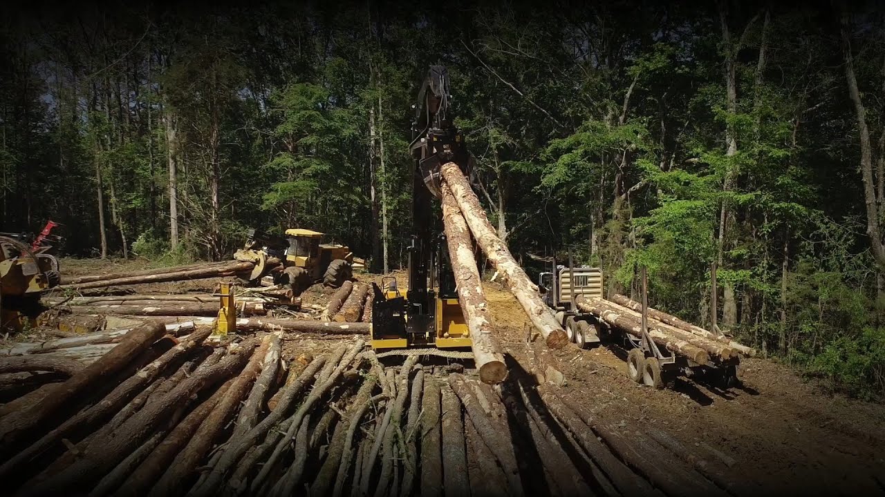 Découvrez la machine forestière FM528 GF/FM528 LL Cat®