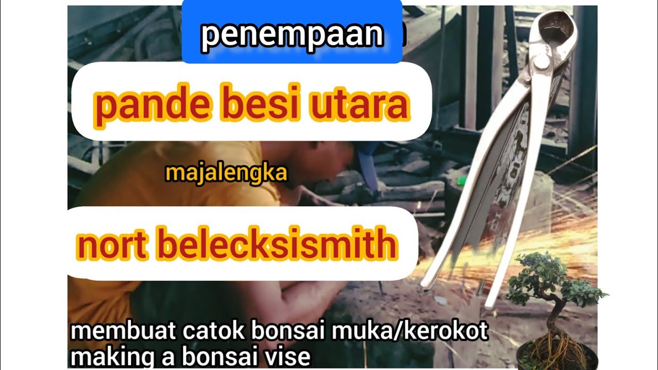 membuat catok bonsai kerokot