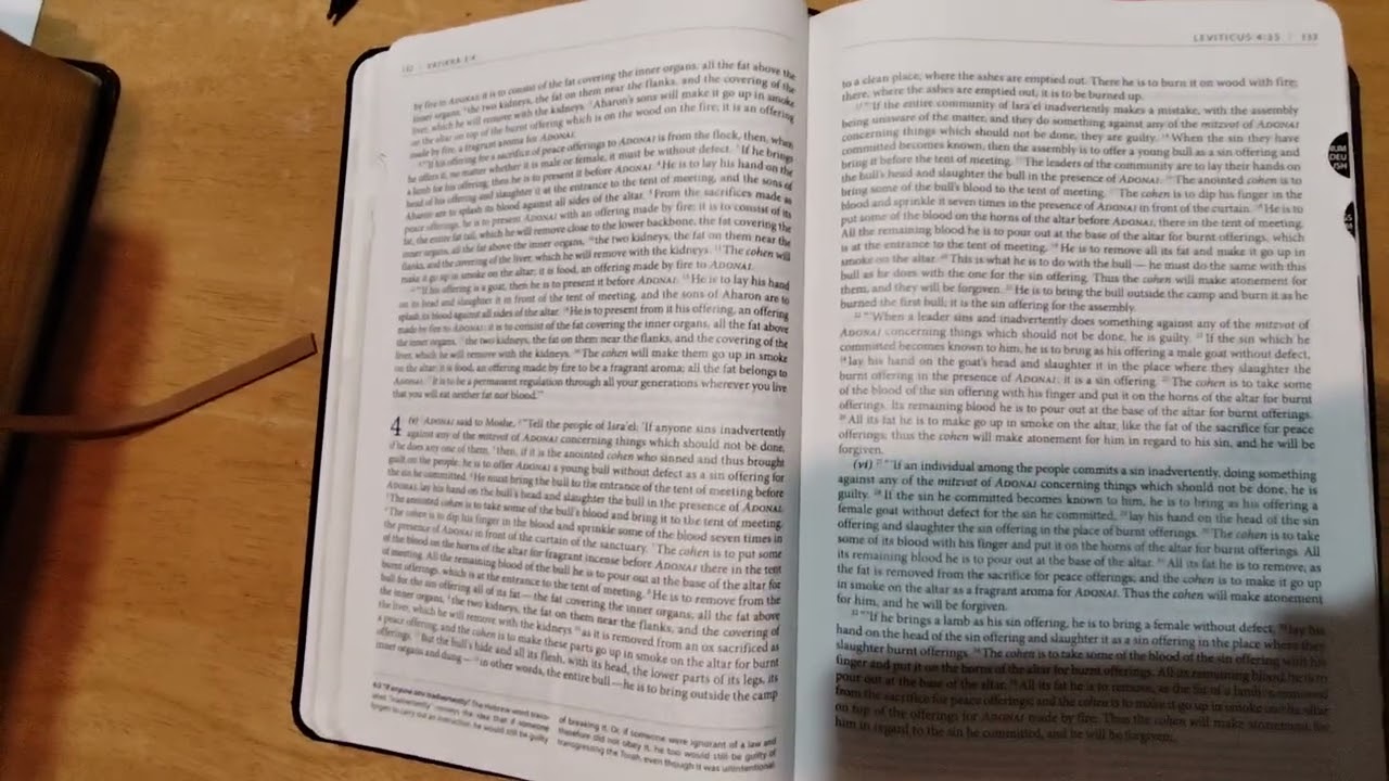 Bible Reviews 11 Jewish study Bible