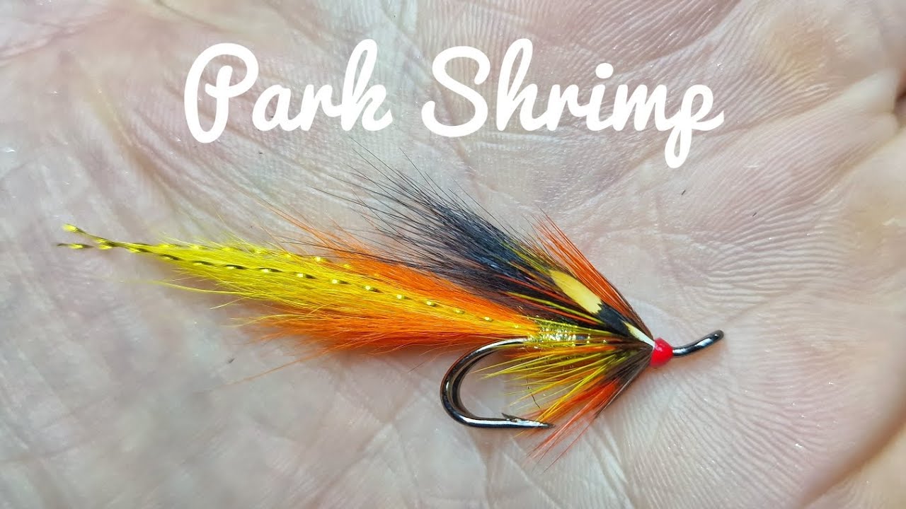 Tying the Park Shrimp Salmon fly with Anthony Mc Cann