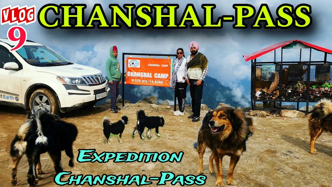 Chanshal Pass | Chanshal Pass Himachal Pradesh | chanshal valley | chanshal pass trek #chanshalpass