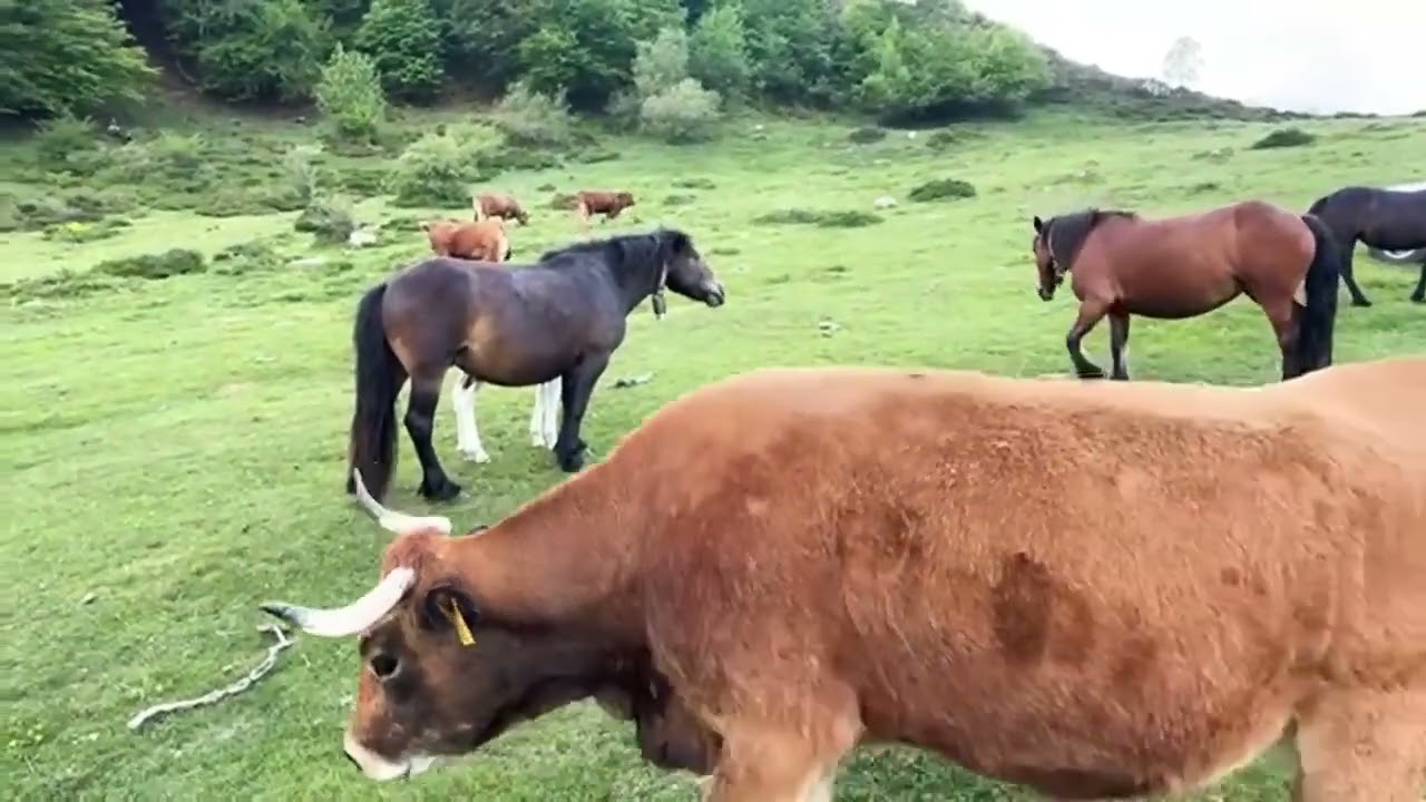 Simplemente impresionante ‼️