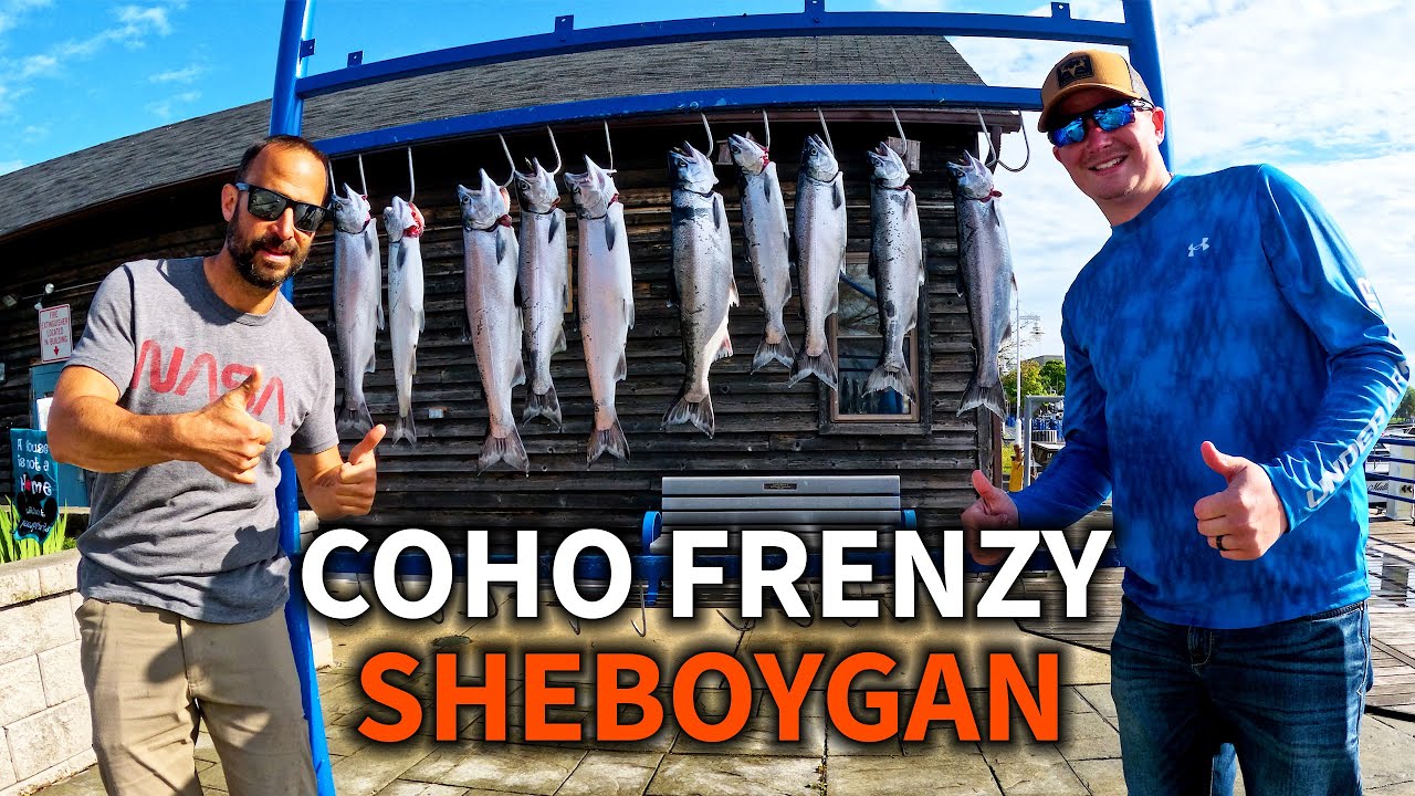 Coho Salmon Fishing: Port of Sheboygan Fast Limit