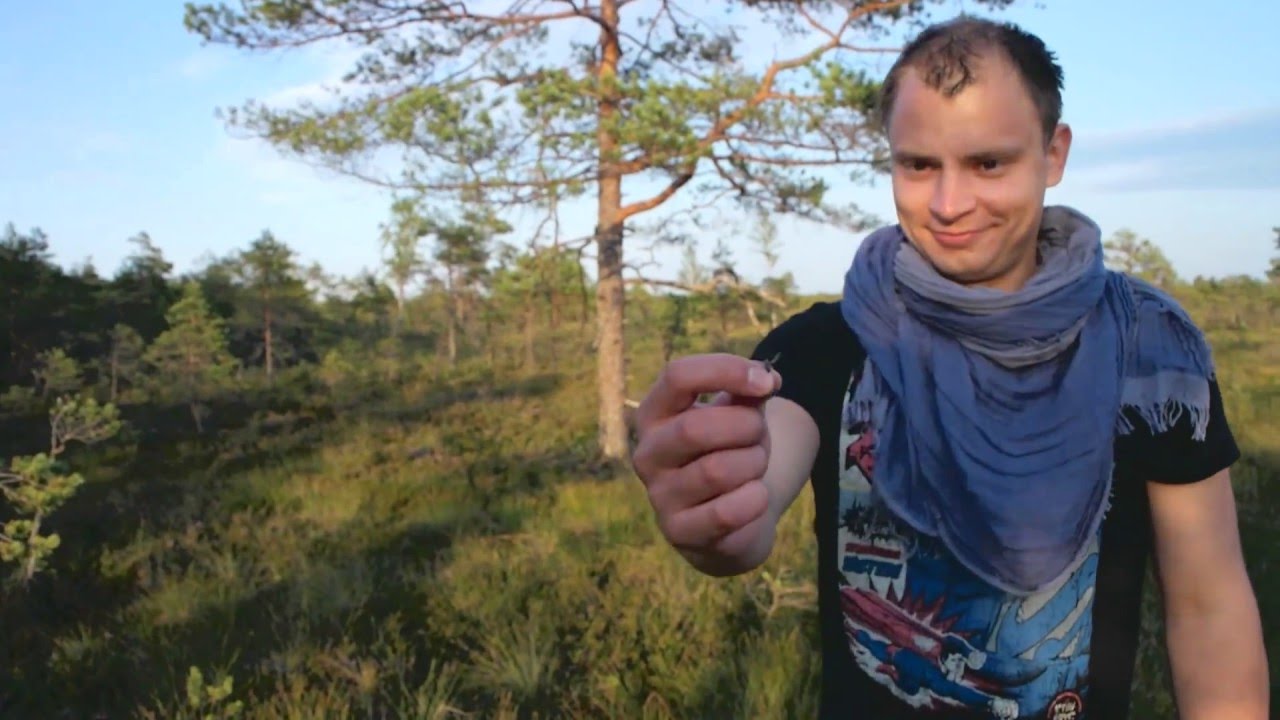 Let's Learn Estonian:The mysterious bogs