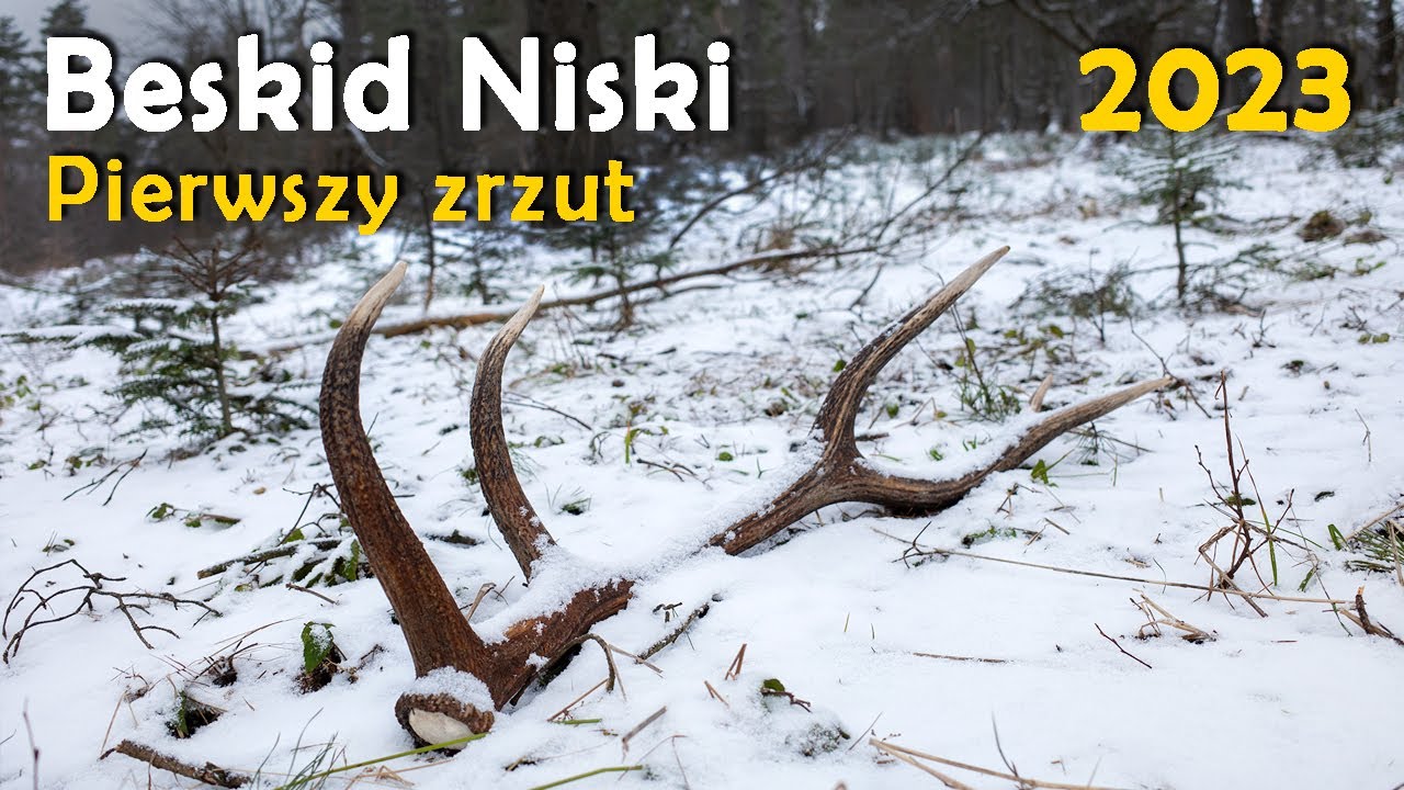 Pierwsza tyka 2023 Zrzut 10-tak